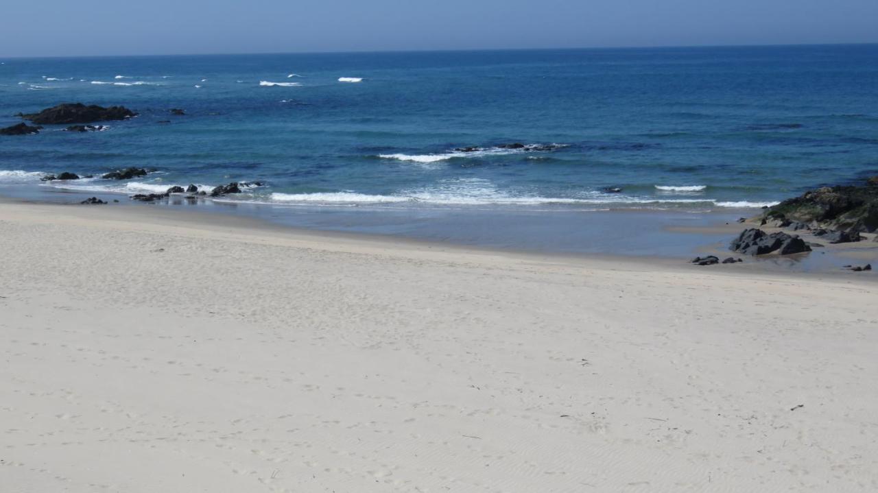 Afife & Insua Beach Apartment Viana do Castelo Eksteriør bilde